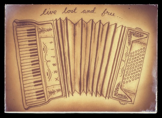 live lost n free accordion